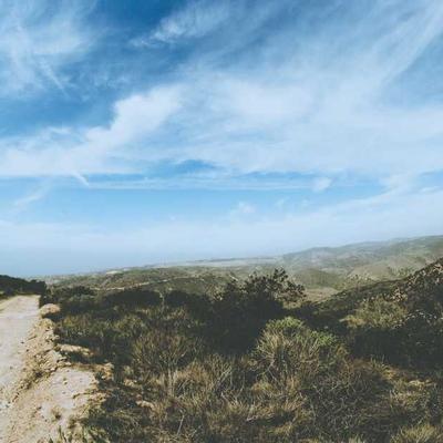 Headshot of Aryan Bahirwani